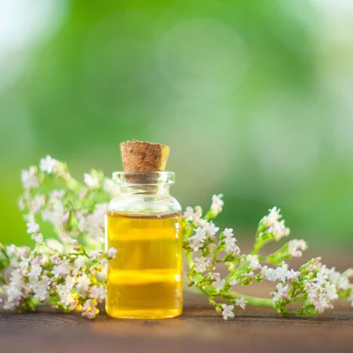 usingvalerianoil